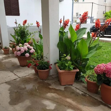 Centar Apartamento *